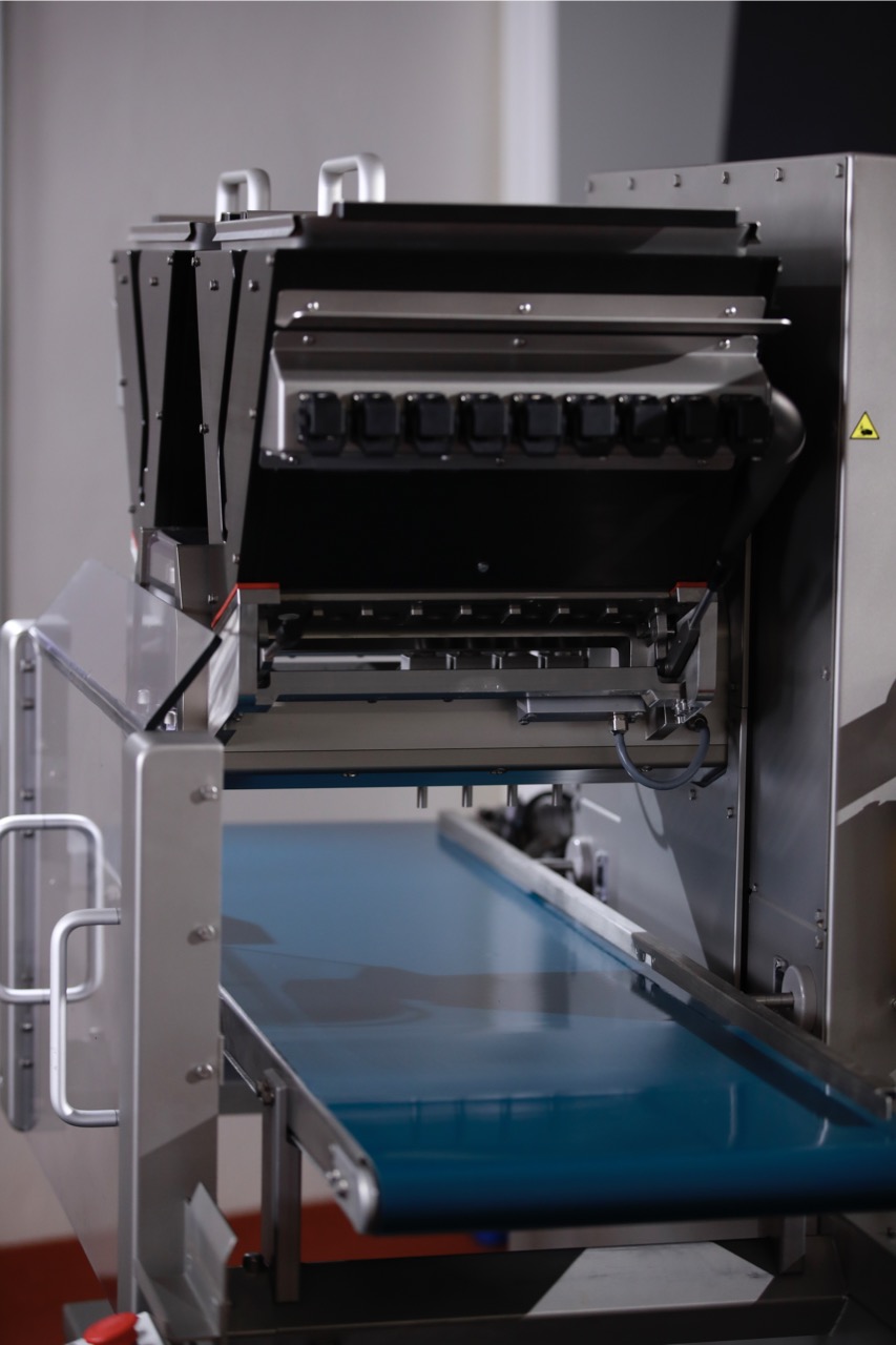 One Shot Evolution | NeraOne