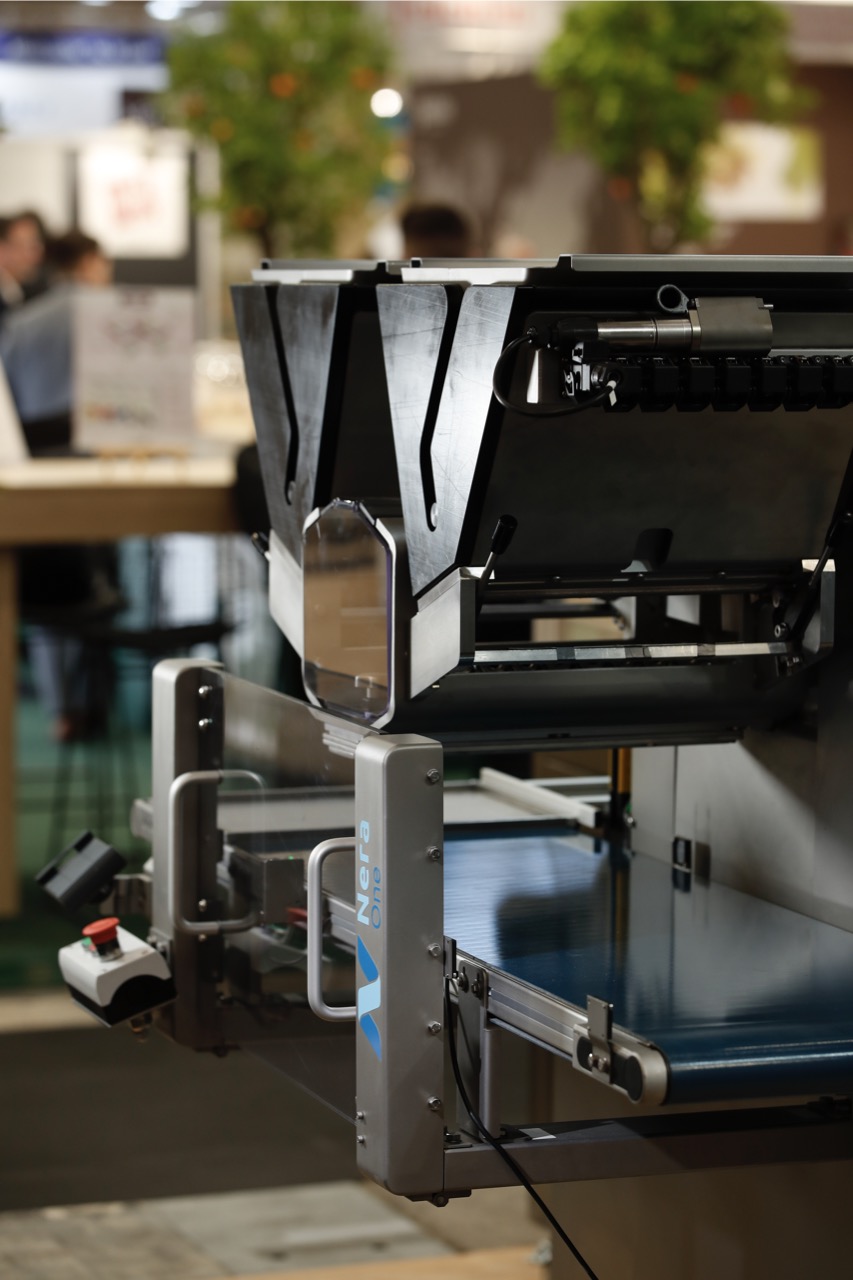 One Shot Evolution | NeraOne